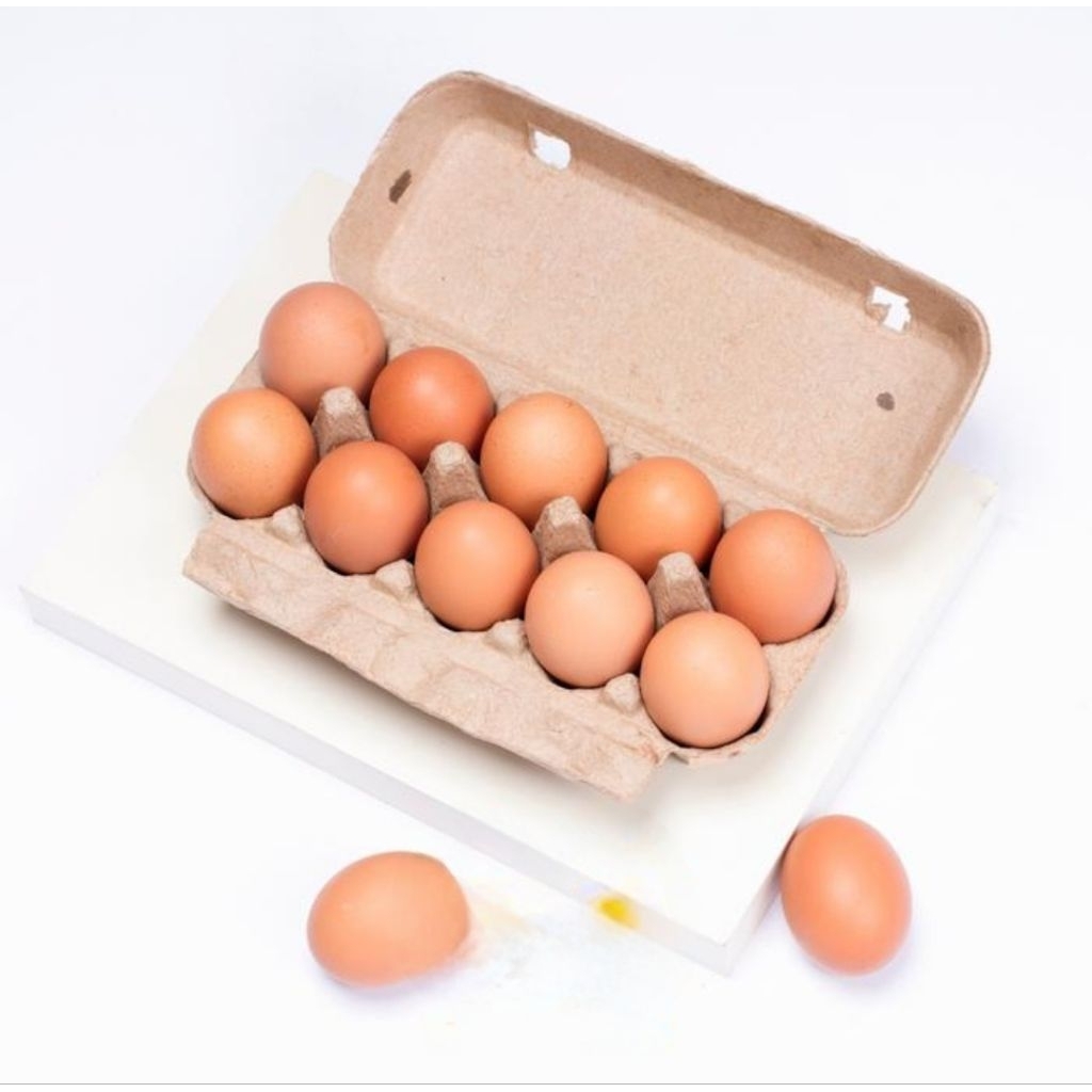 

PAPER EGG TRAY 10 LUBANG/BOX TELUR