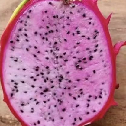 

Buah naga pink segar super premium 1 kg