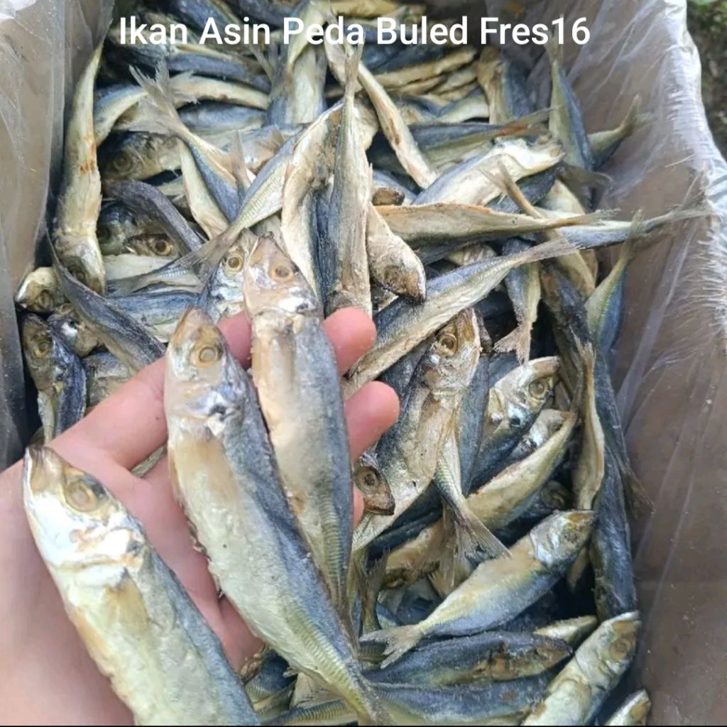 

Ikan Asin Peda Buled fres16