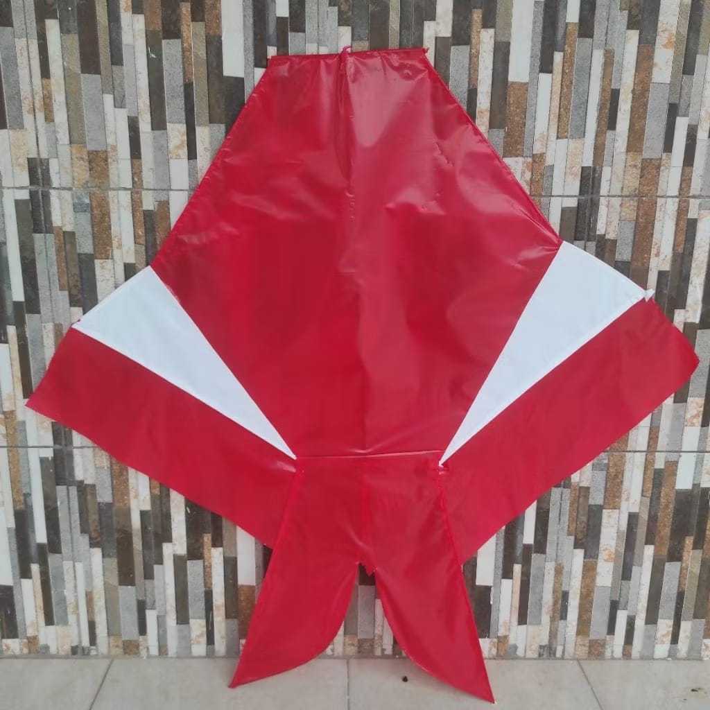 layangan cotek blolong knockdown 40 cm siap terbang melayang