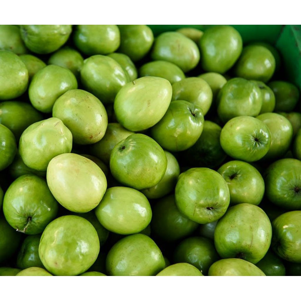 

BUAH BIDARA ARAB ASLI BANYAK KHASIATNYA 500GRAM