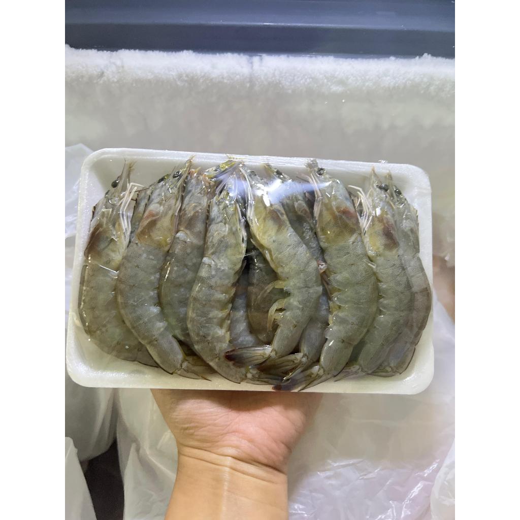 

Udang Segar Ukuran Besar 300gr | Sayur Freshmart Bandung