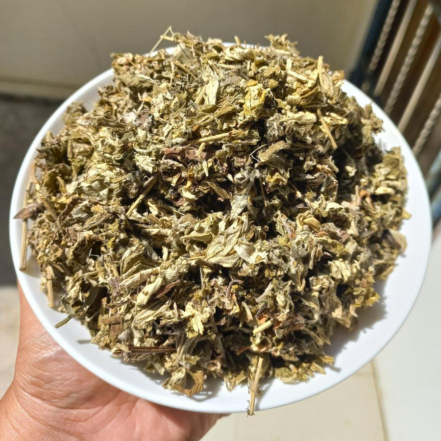 

DAUN SUDAMALA KERING/DAUN NGAI/MUGWORT/DAUN BARU CINA/AISTONIA SCHOLARIS