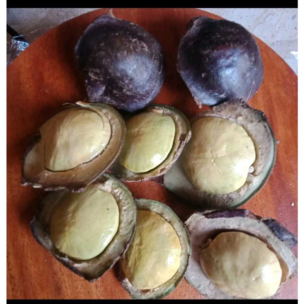 

Jengkol muda Fresh / jengkol kulit / jengkol muda lalap berat 500dan 1 KG