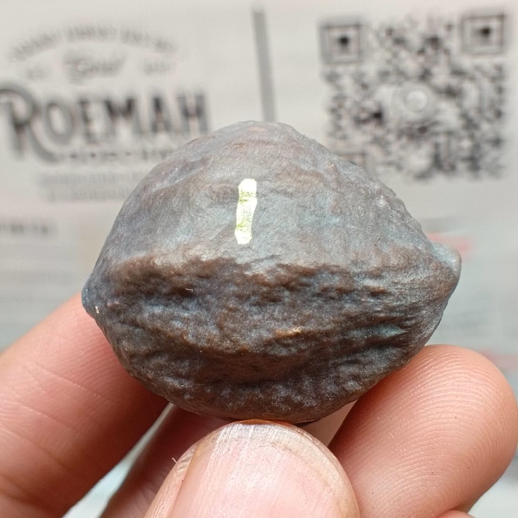 Muncang Adu A Mayit Domba kode 1