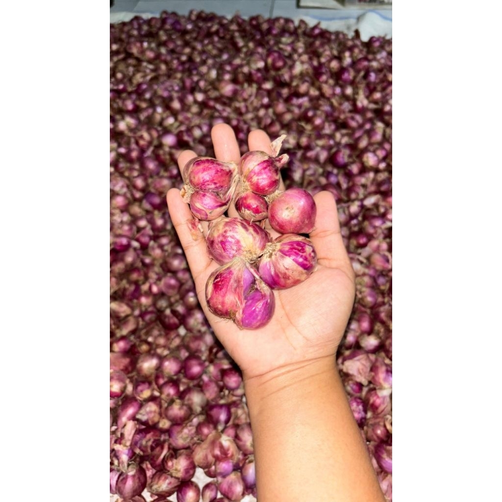 

|| 500gr dan 1kg || bumbu dapur || bumbu masak || ready banyak