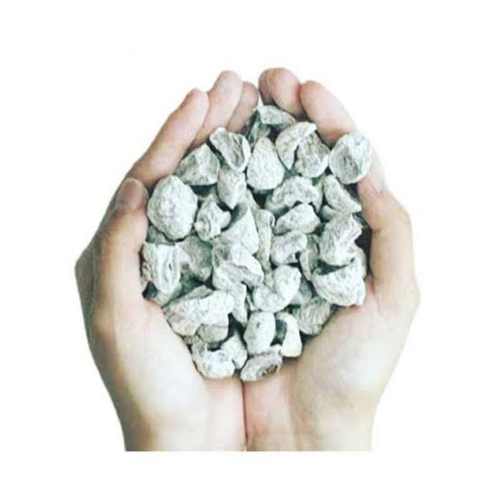 

KIAMBOY POTONG/ KIAMBOY ASEM MANIS TANPA BIJI- PLUM KIAMBOY TANPA BIJI