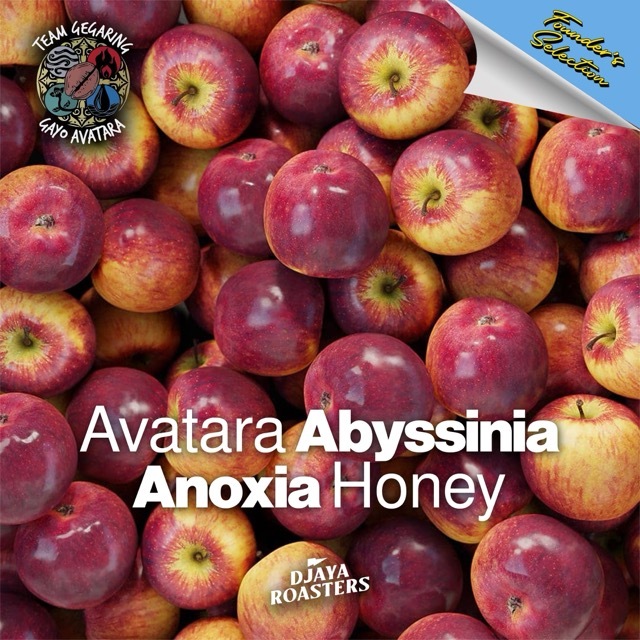 

Avatara Abyssinia Anoxia Honey - Filter Coffee