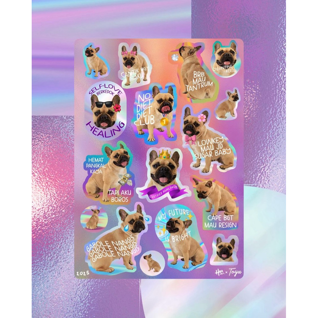 

TOYA Sticker Sheet – Rainbow of Our Life