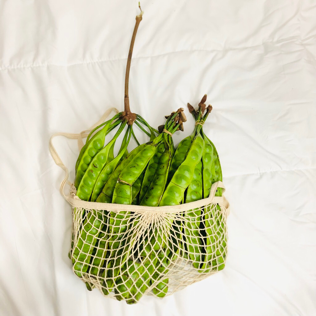 

PETAI PETE TUA 1 IKAT/10 PAPAN - PETIK FRESH