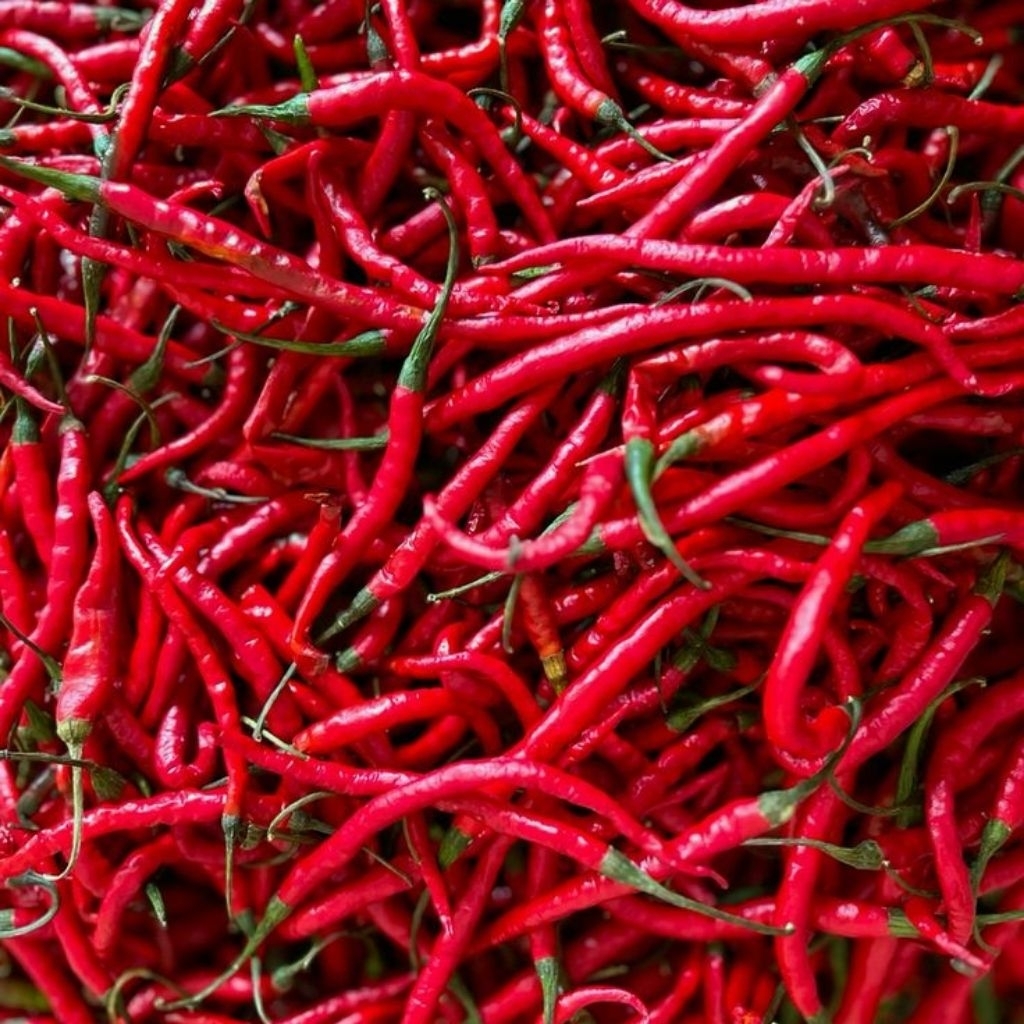 

[ JM SoFresh ] Cabai Merah Keriting 250gr