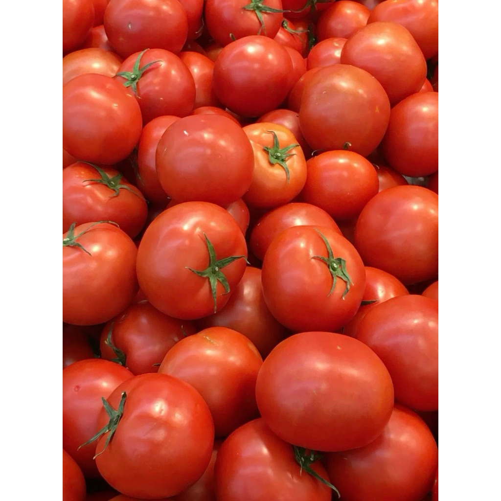 

Sumber sehat sayur || tomat segar 250gr