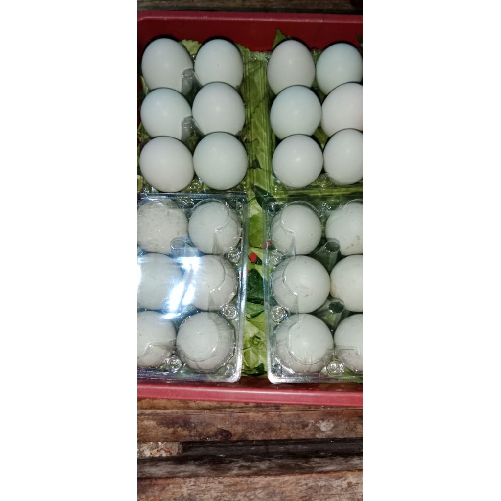 

PROMO TERMURAH!! TELUR BEBEK MENTAH PER PACK ISI 6 BUTIR