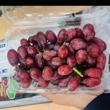 

anggur Ruby red gem 500gram