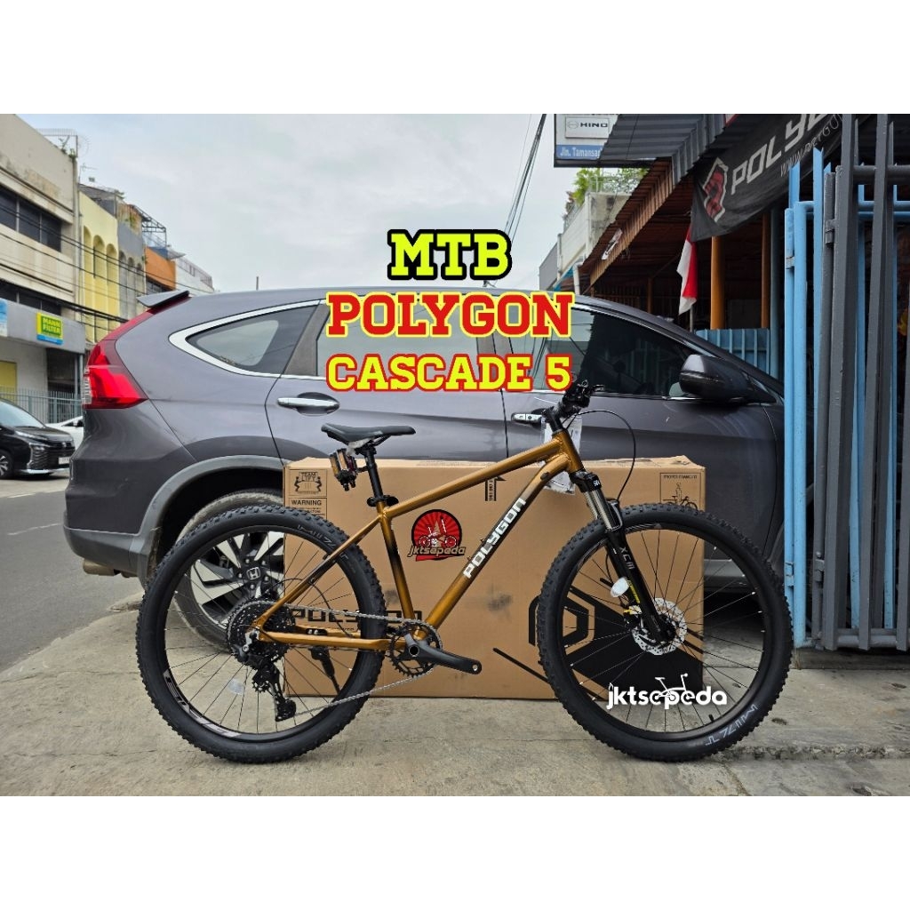 Sepeda Gunung MTB Polygon CASCADE 5