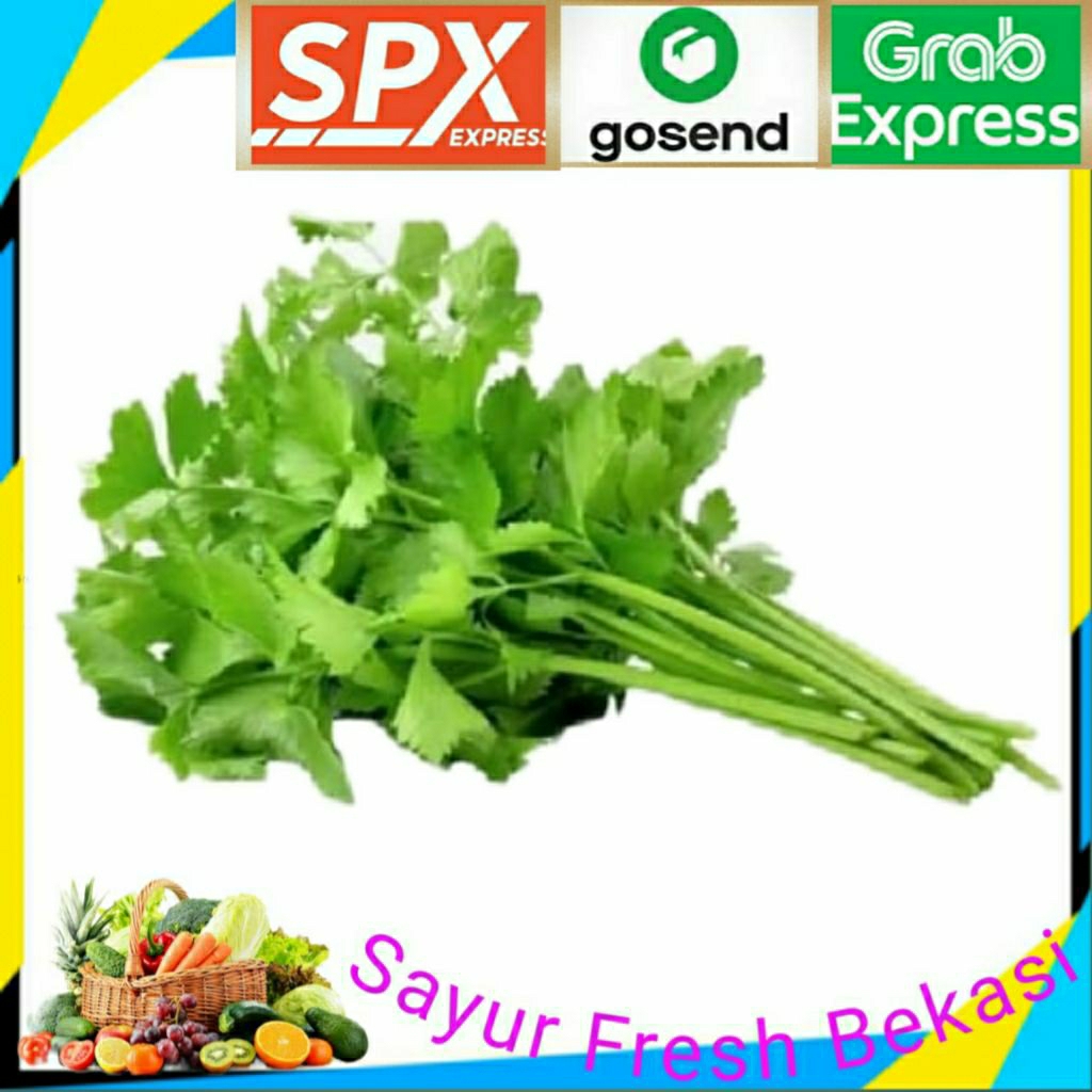 

Daun Seledri ( 1 ikat ).