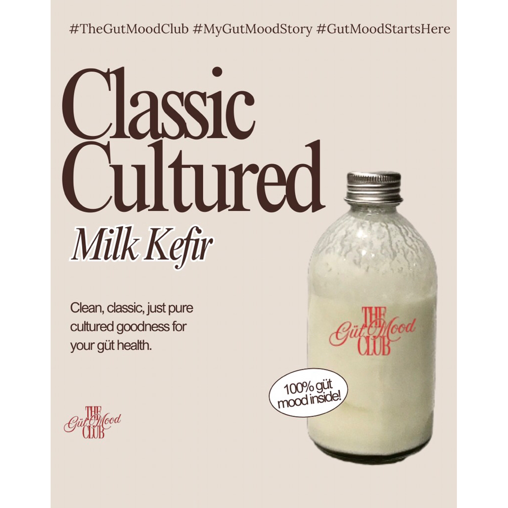 

The Gut Mood Club Classic Cultured Milk Kefir - Susu Kefir Classic Cultured (Susu Kefir Original)