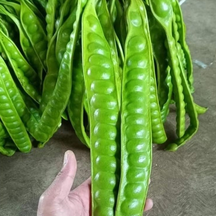 

pete/petey super makan lejat pete super per 10 papan/ biji