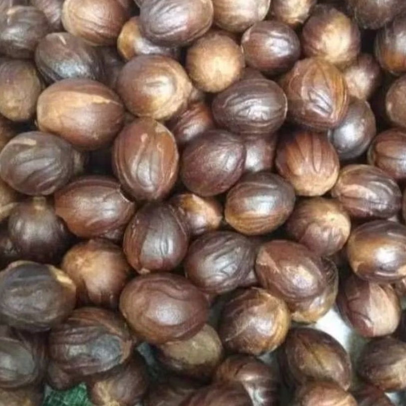 

biji pala kering/buah pala kering/kulit pala kering 100%alami brat 1 kg