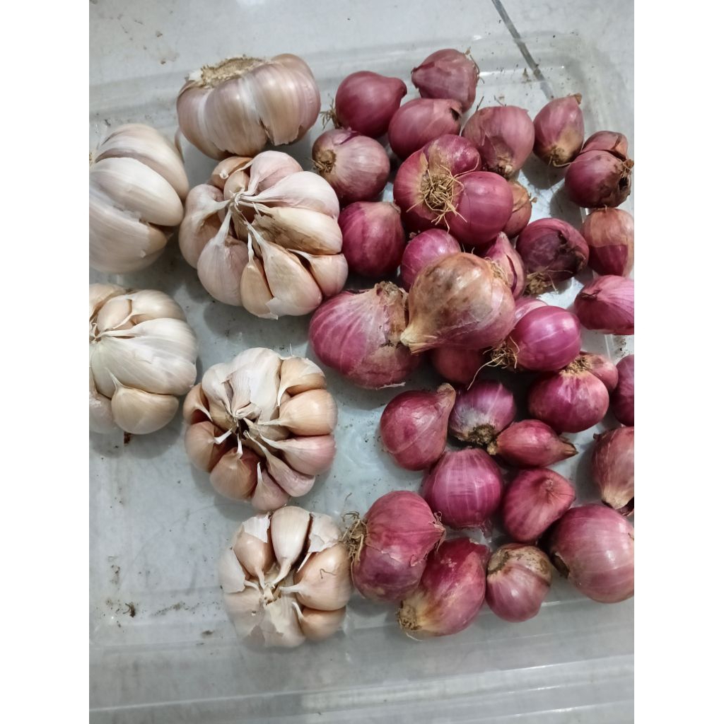 

SATU DUS ISI 500 GRAM BAMER & BAPUT (250 gram Bamer + 250 gram Baput)