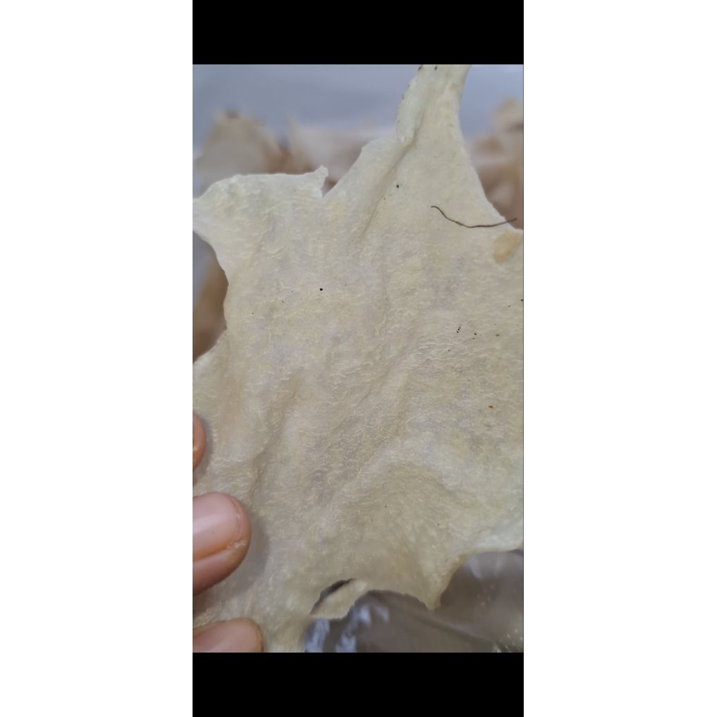 

ORI keripik gheddung (OPAK)