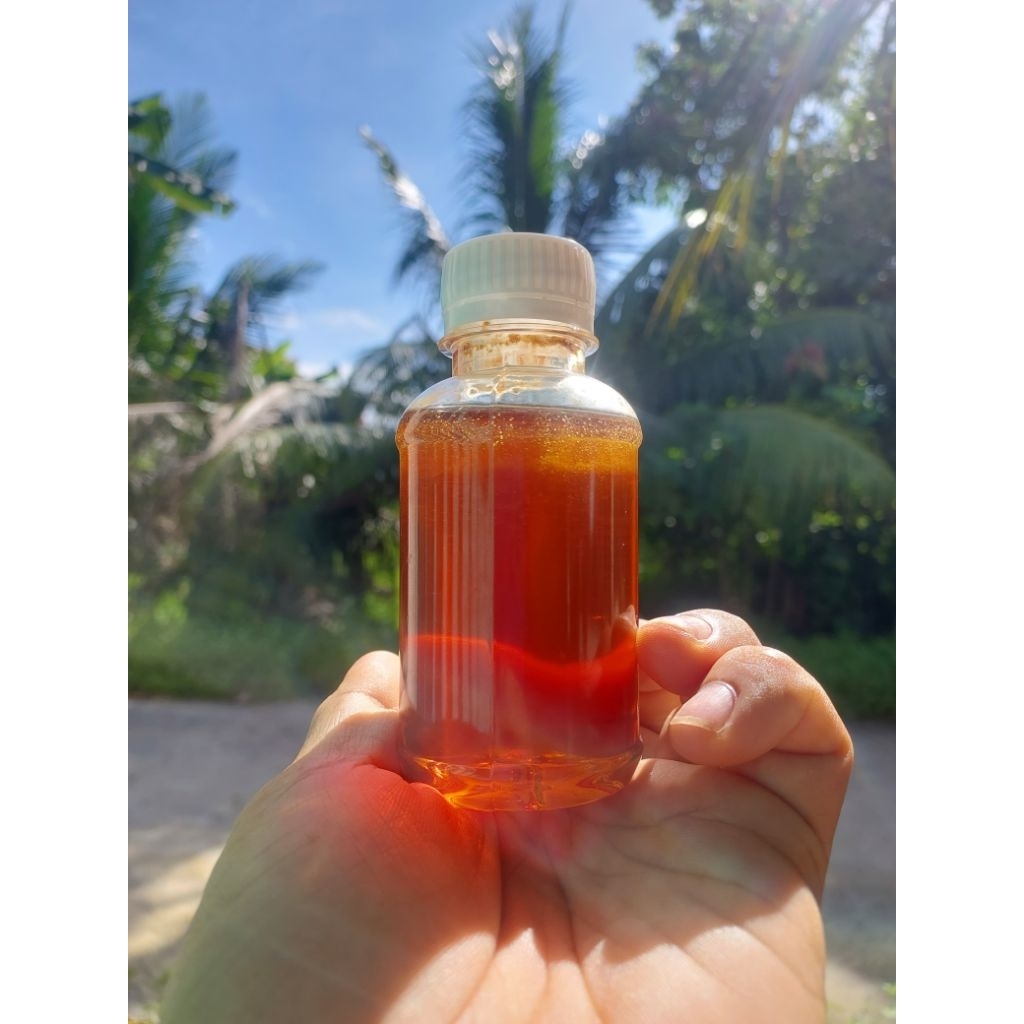 

10kg Madu Hutan Asli dan Murni 100% Raw Honey