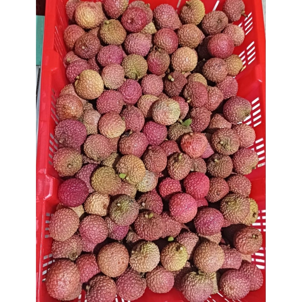 

Lychee Pink 5,5 kg