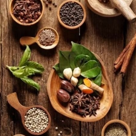 

aneka rempah nusantara_Asika_habbbat