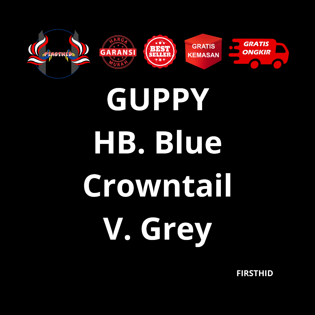 (BEST SELLER) Aksesoris Akuarium GUPPY HB Blue CT Half Black Crowntail serit penghias kolam