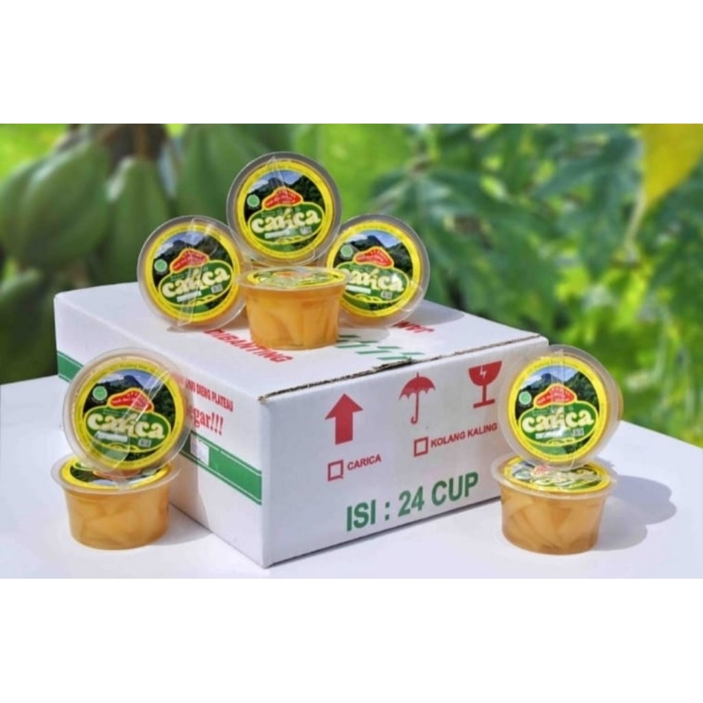 

Carica Cup Mini isi 24