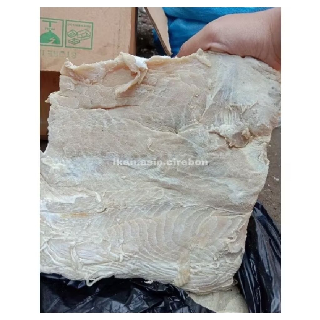 

Ikan asin cucut panjelan 1kg 500g 250g Promo Murah Meriah