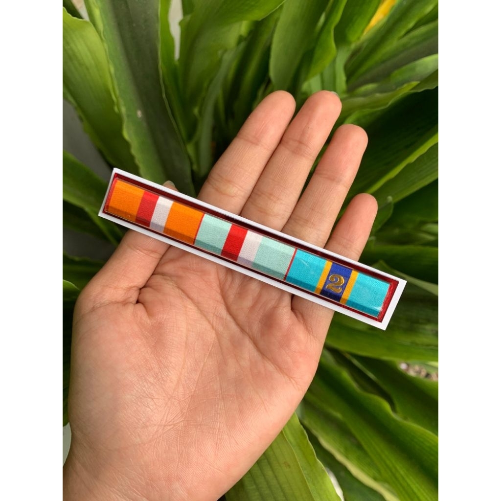 SATYA LENCANA PDH TNI VETERAN, SANTI DHARMA, CONGO