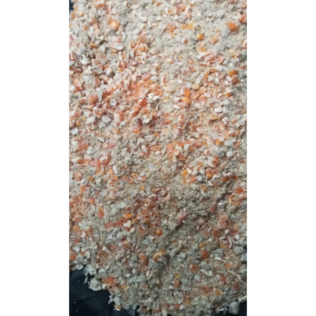 

jagung giling kering 1kg - 5kg