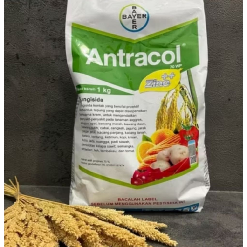 Antracol 1kg