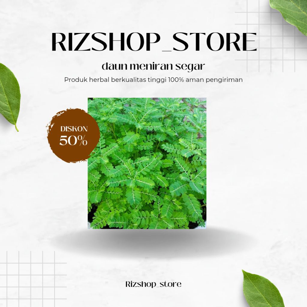 

100 gram Daun meniran segar fresh di ambil langsung siap kirim