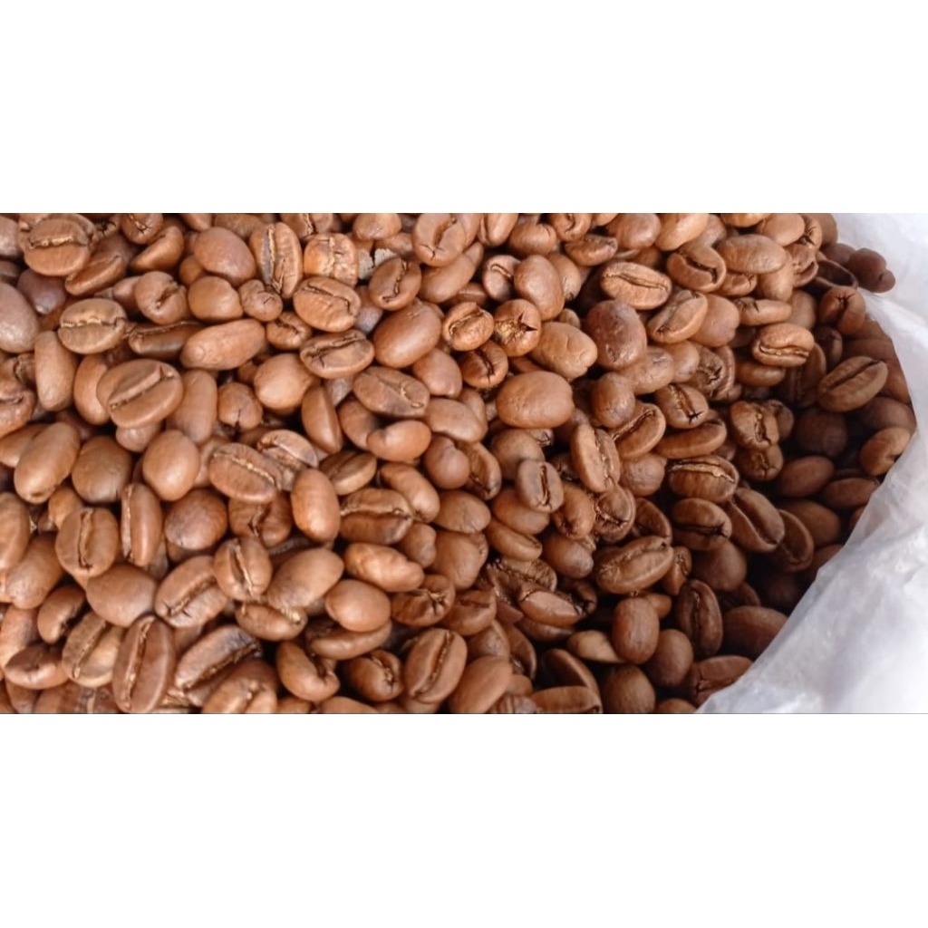 

Roastbean Arabika Specialty 1 Kg|Wash|Grade 1|Origin Angin-angin Latimojong Enrekang, Light, Medium dan Dark