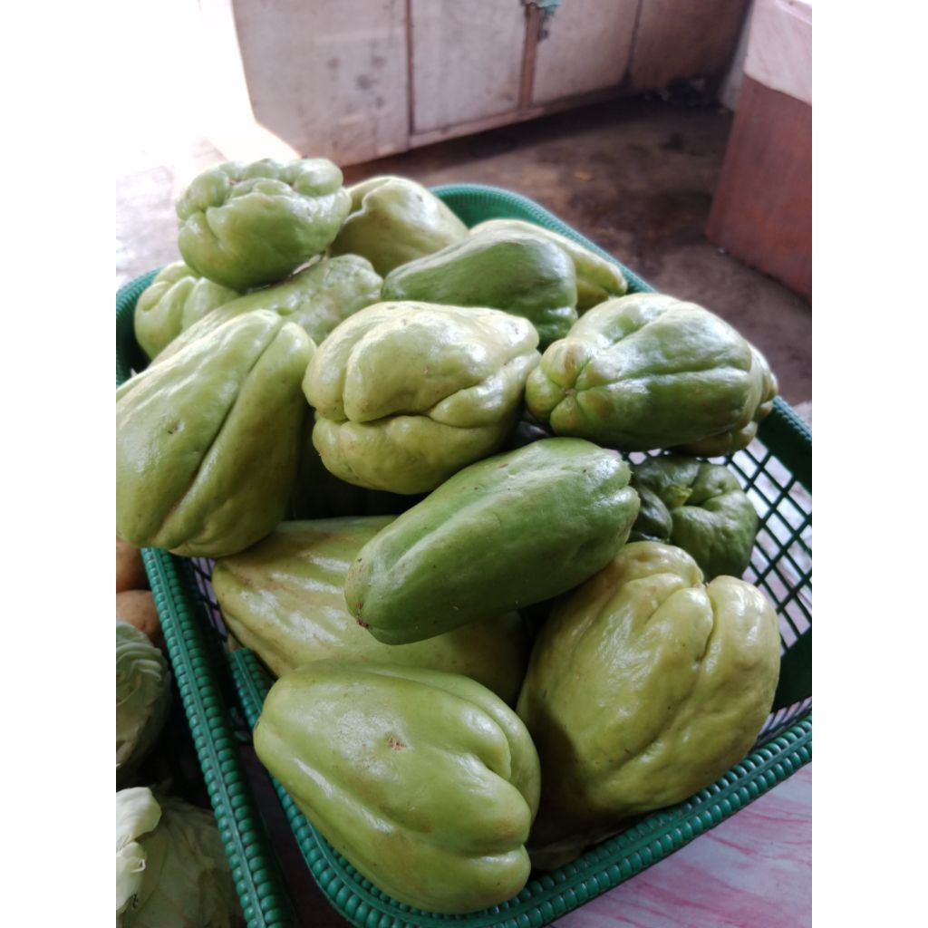 

labu siam besar per 1 pcs