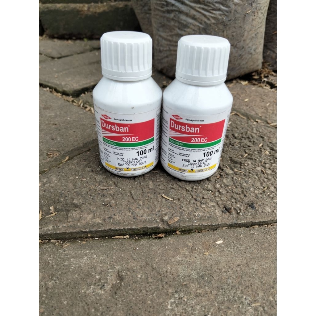 Obat pestisida insektisida anti hama tanaman dushban dursban kutu putih ulat bulu decis