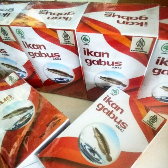 ekstrak Ikan Gabus Kutuk herbal pasca operasi