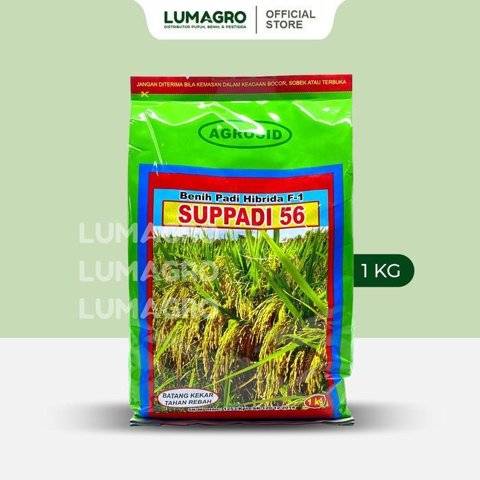 Benih Padi Supadi 56 Original F1 1kg Kemasan Pabrik Agrosid Bibit Pari Unggul Hasil Melimpah