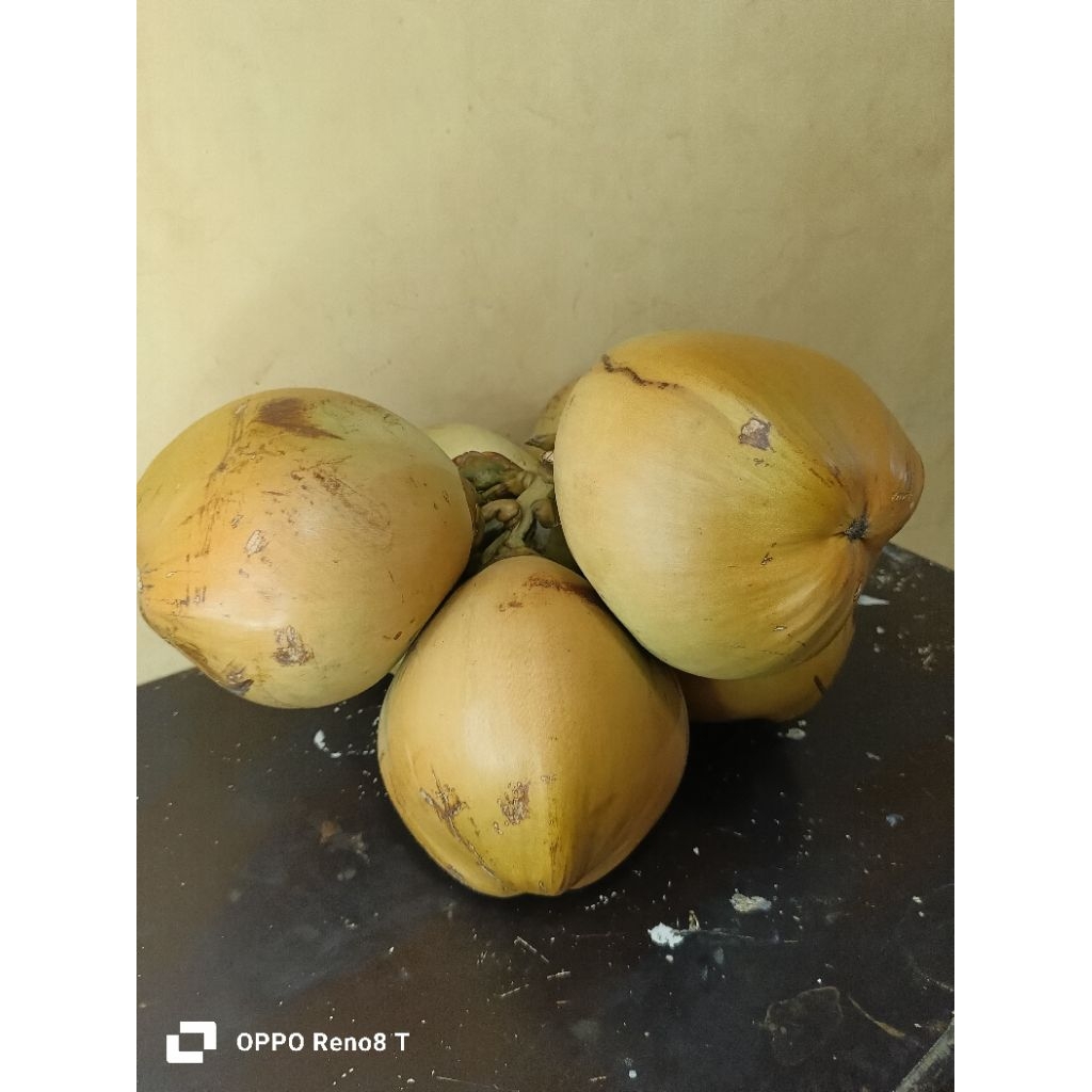 

DEGAN DIAMOND MUDA SUPER PERBUTIR