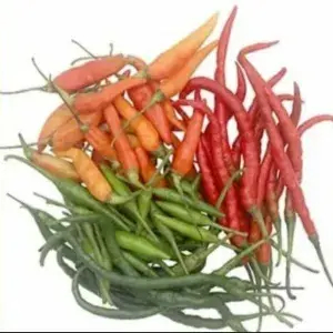 

Cabe campur 4 macam 250 gram