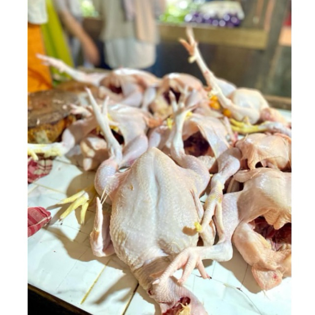 

Ayam Potong Broiler Karkas utuh Fresh segar Premium Termurah 2kg