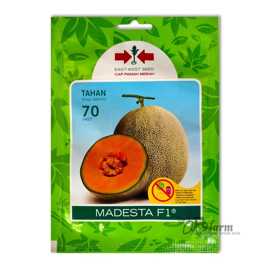 Benih Bibit Melon Madesta F1 40 Biji Cap Panah Merah