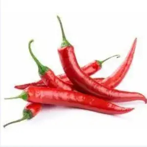 

Cabe Merah Besar (TW Merah) 100 Gram