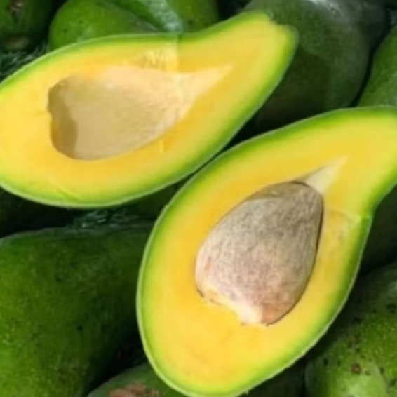 

1 KG ALPUKAT 3 SAMPAI 5 BUAH FRESH MENTEGA