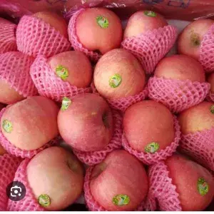 

Apel Fuji Fresh 500gr