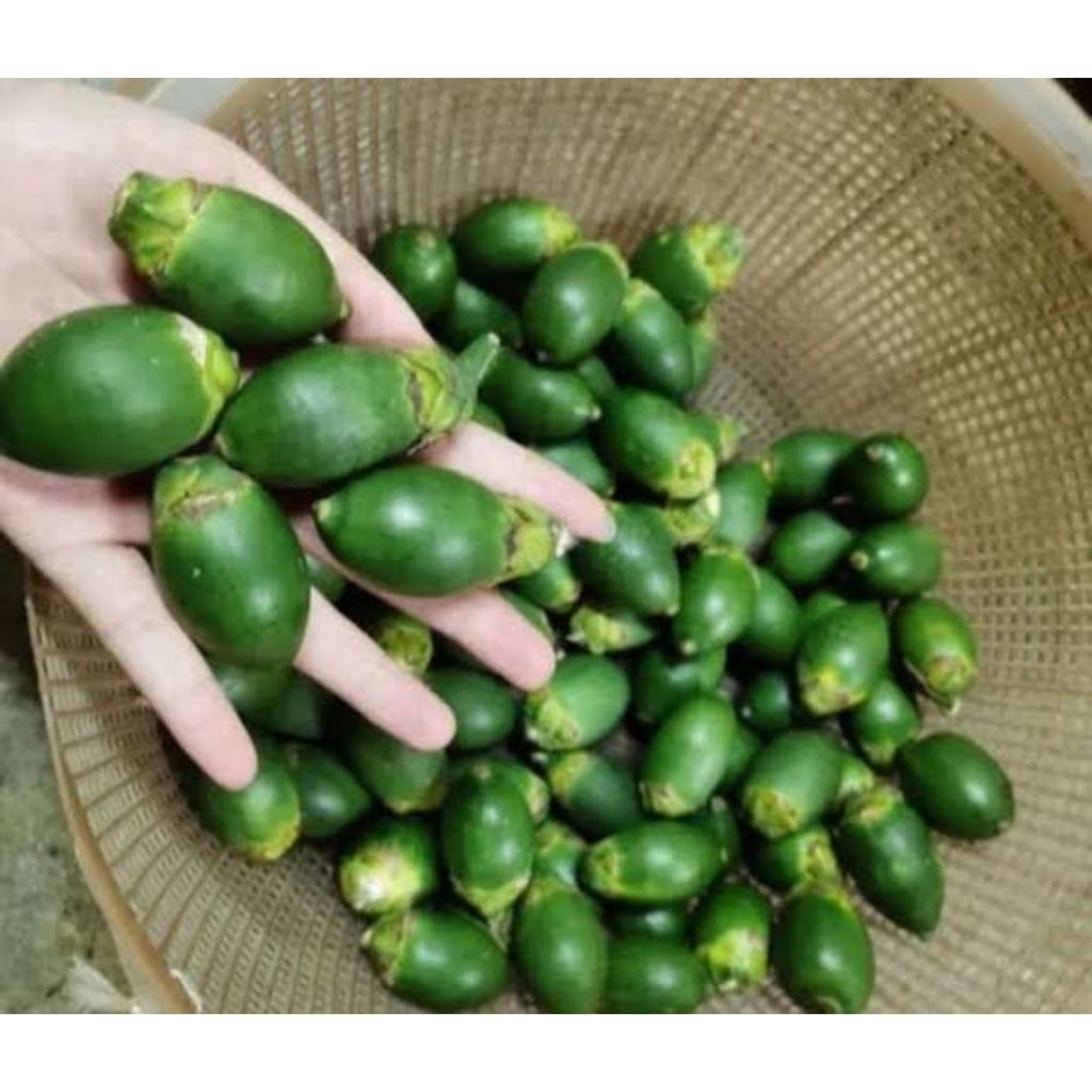 

Buah Pinang Muda Petik Dadakan Kemasan 1000 Grm. Gratis 5 Daun Sirih