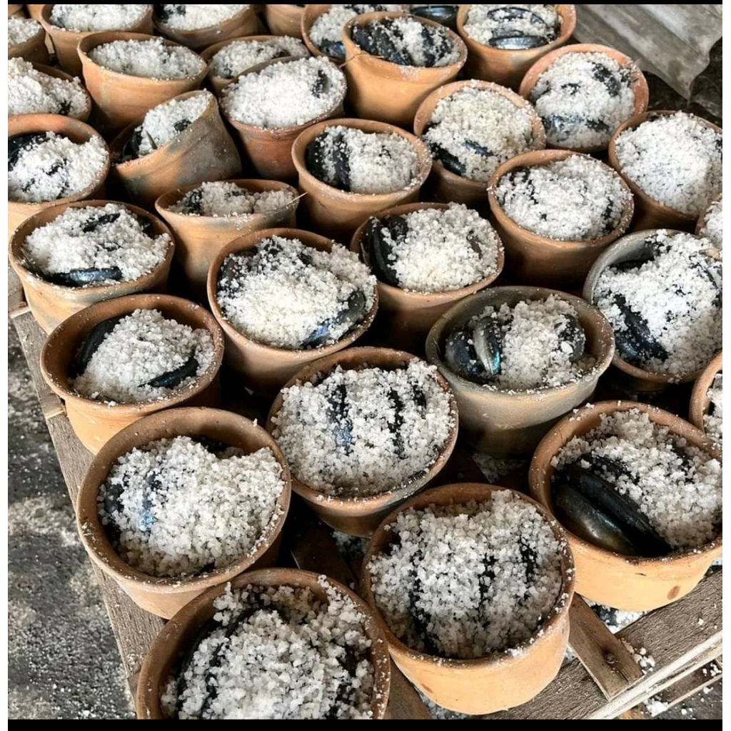 

Ikan Asin Layang kendil Tanah Liat Asli Tuban