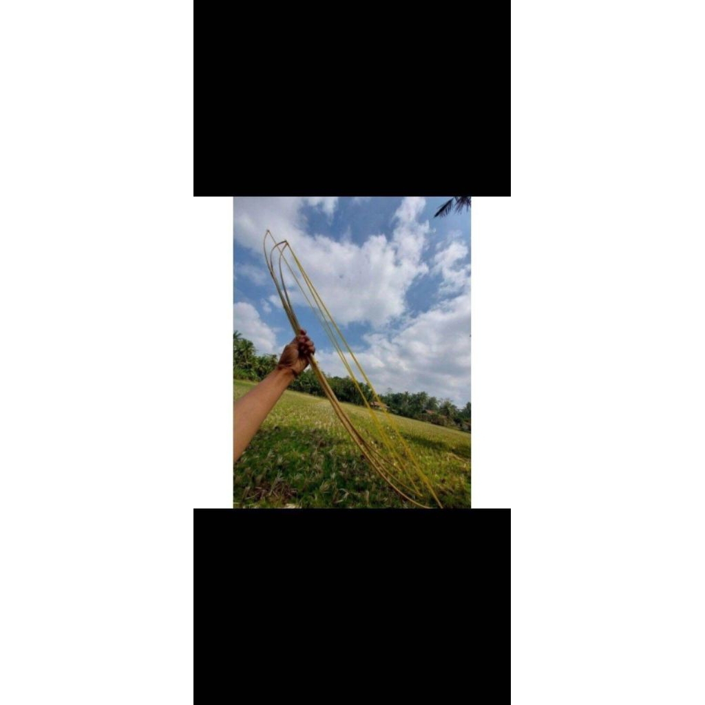 TERMURAH SENDAREN GAPANGAN PANJANG 115-120 Cm